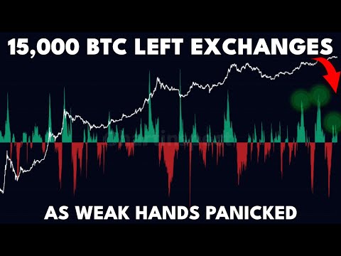 15,000 BTC Moved Off Exchanges During the Dip - This is HUGE