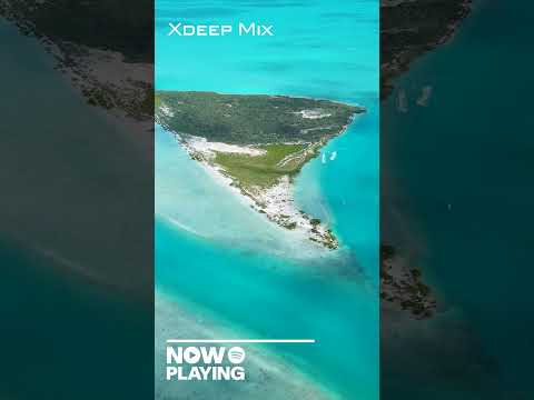 Tropical Escape 🌴 Deep House Journey #Shorts  #deephouse
