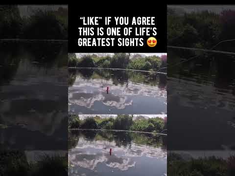#coarsefishing #floatfishing #fishing #fishingvideo #fishinglife #fishingtips #fishinguk