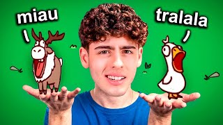 ZOOLÓGICO, MAS OS ANIMAIS TEM A MINHA VOZ