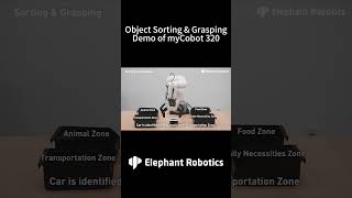 myCobot 320 | See How This 6-Axis #Robot Achieves Perfect Object Sorting & Grasping #robotics #tech