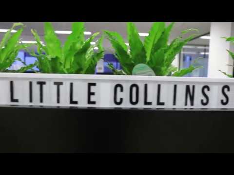 #hellolittlecollins!
