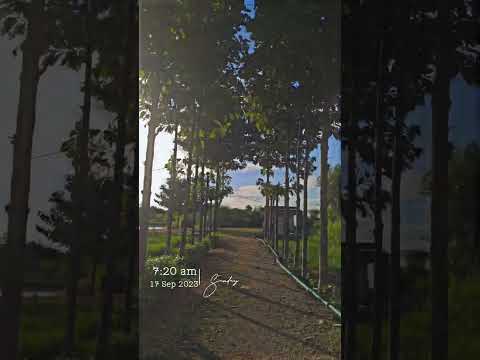 it's Krishi vigyan Kendra of datia ...rvskvv #agriculture #youtubeshorts #shorts