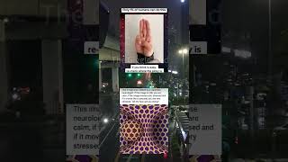 #funny #wtf