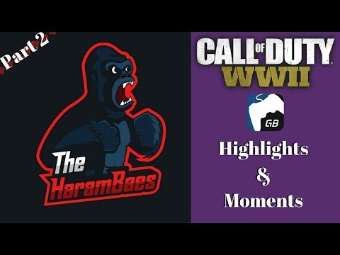 The HaramBaes GO Totally Crazy! | WWII GB Highlights and Moments Part 2