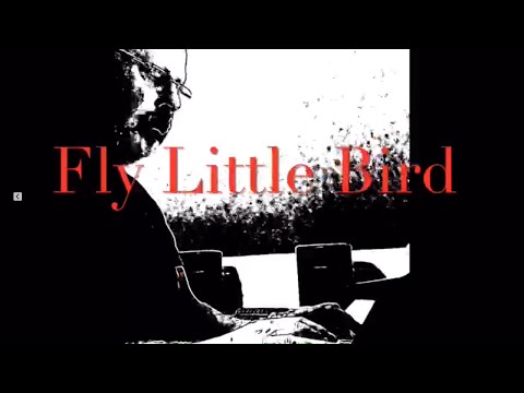 Fly Little Bird