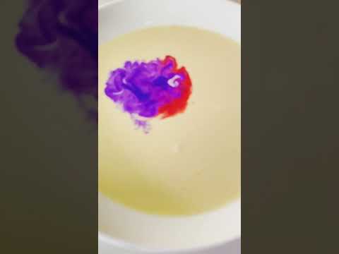 Check Out the Mesmerising Color Changing Milk Art. #sciencefun #scienceexperiment #experiment