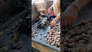 Cashew nut processing
