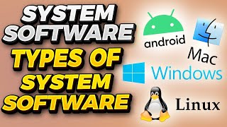 What is Software | Types of Software