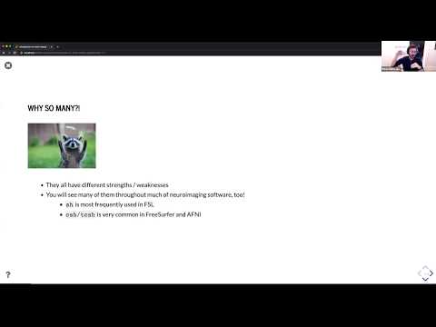 Introduction to the terminal (Bash)