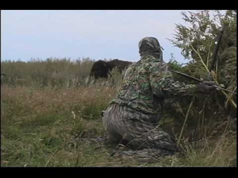 Traditional Buffalo Hunting with a Spear