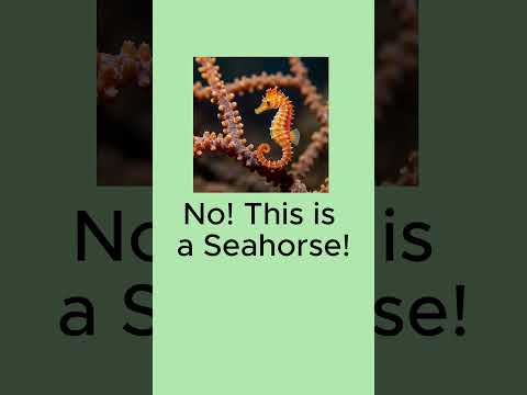 Literal vs Reality English Compound words #shorts #literalvsreality #compoundwords