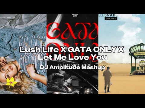 Lush Life X Gata Only X Let Me Love You [DJ Amplitude Mashup]