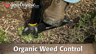Organic Weed Control - Mulch, Corn Gluten Meal, Flamers and More!