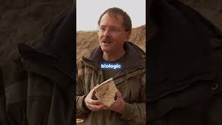 Discover the Future: Robots That Eat Rock! 🌍🤖