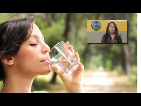 Diabetes Prevention: Bring Back the Tradition of Healthy Living