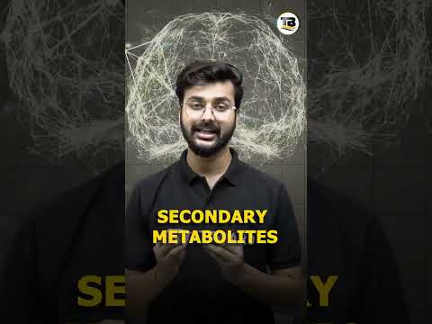 Dry fruits को भिंगो कर खाने के फायदे | Benefits of eating soaked dry fruits | #dryfruits | #fruits