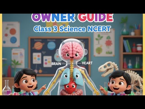 Human Body Owner Guide | Class 3 Science NCERT|