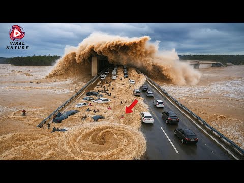 One in a Billion Moments in Nature - Best of 2025 #5