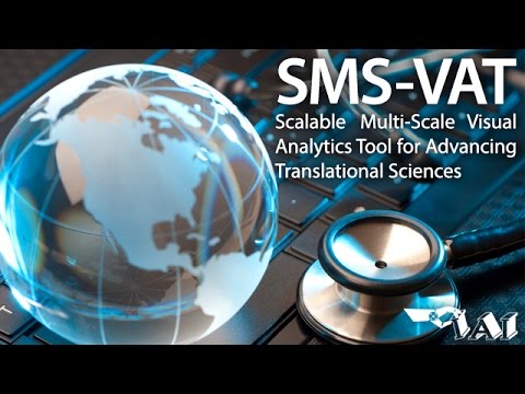 SMS-VAT | Scalable Multi-Scale Visual Analytics for Advancing Translational Sciences