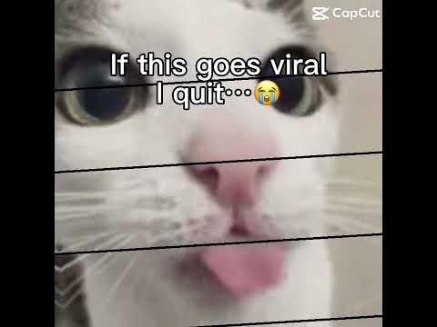 If this goes viral #audio