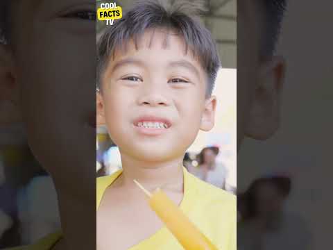 Chilled to Perfection: The Accidental Invention of Popsicles by an 11-Year-Old