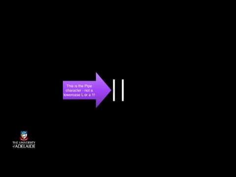 Code101x: Decisions, Decisions