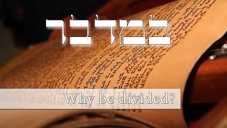 Parashat Bamidbar - Why are Jews divided? - Rabbi Alon Anava