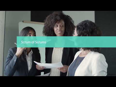 Scrum of Scrums | PMP & CAPM Exam Prep Essentials