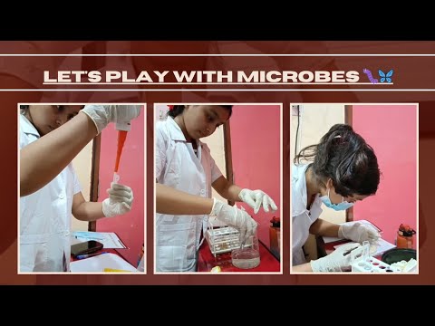 workshop day #microbiology #handwork #studentvideo #collegestudent #amaizingvideo