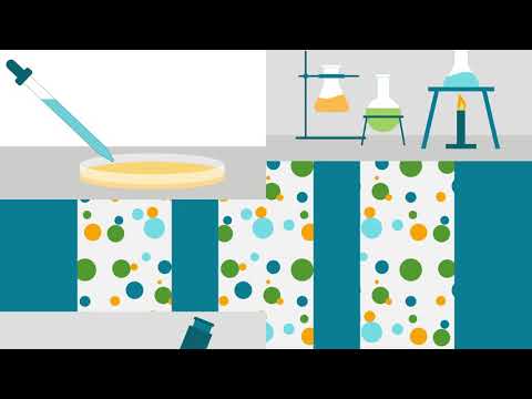 How to Get the Most Value From All Data, All the Time