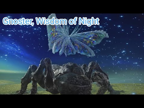 Elden Ring: Nightreign - Beating Gnoster, Wisdom of Night