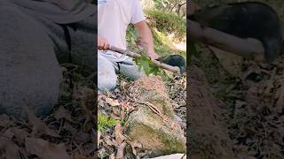 #agritools #farmer life #tonglufeng #agriculture #agritool #youtubeshorts #viral