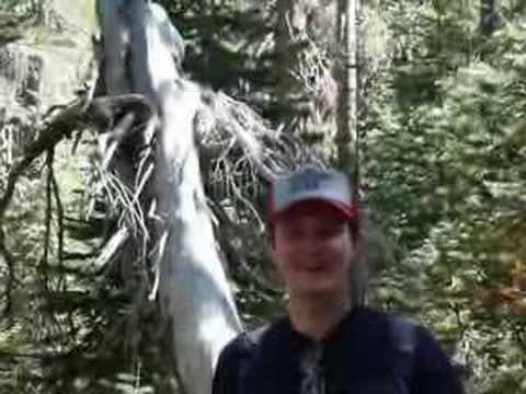 pacificpelican.us podcast 8 - Yosemite