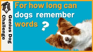 Gifted dogs remember words for 2 years!