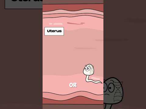 Why most Pregnancy Never Happened? #animation  #shorts