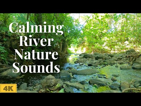 River Calming Nature Video 4K | Relaxing Scenery | Running Water Nature Sounds 3 Hours
