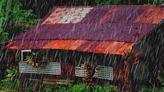 Rain Vibes Only! Sleep Instantly with HEAVY Rain Sounds on old Shack in HAWAII, Sleep, Study, Relax