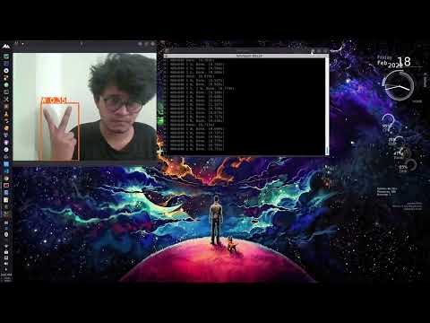 Real Time American Sign Language Detection Python