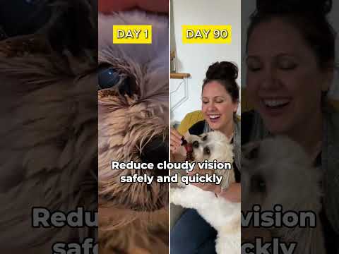 Dog's Cloudy Eyes? This Natural Detox Restored His Vision