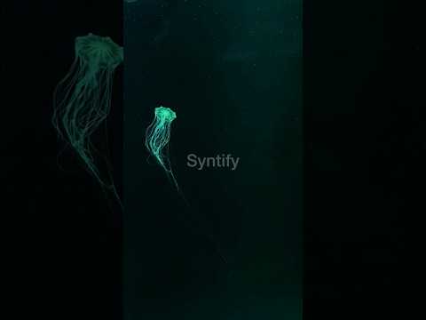 Immortal Jellyfish 🪼