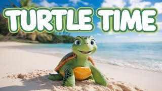 Turtle Time