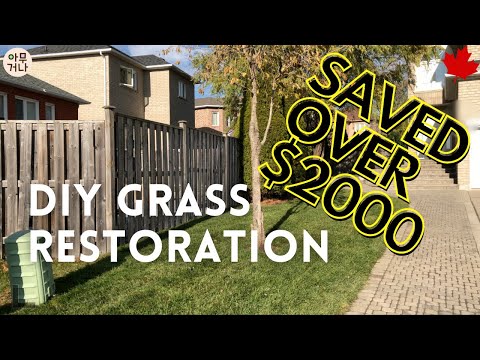 ENG & KR SUB) DIY Grass Restoration (Saved over $2000)
