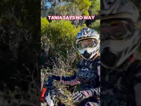 No way I am not riding down that!