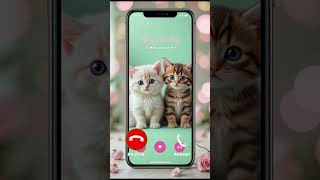 🐱 AI Call Gets Hijacked by This Cute Cat! 📲😂 #shorts #catlover #callfail
