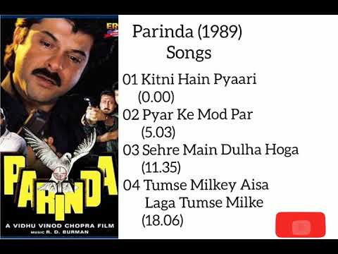 Parinda (1989) All Songs Jukebox| Jackie Shroff| Anil Kapoor| Nana Patekar| Madhuri Dixit| Anupam