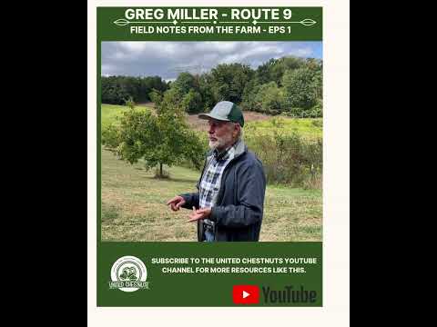 Field Notes From The Farm: Greg Miller – Route 9 – Eps 1 #chestnuts #unitedchestnuts #route9