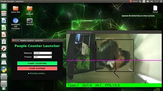Intelligent People-Counting Portal with Local Processing