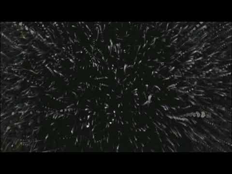 The sky is falling