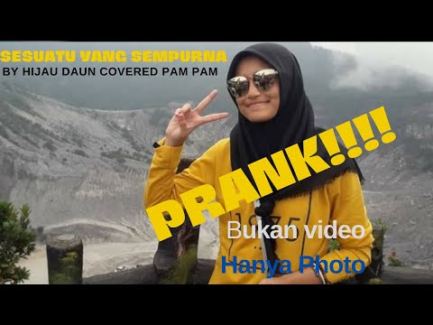 SESUATU YANG SEMPURNA | HIJAU DAUN | COVER PAM PAM